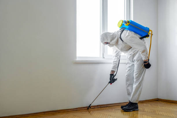 Best Mosquito Control Services  in North Tonawanda, NY