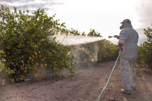 Best Wildlife Control Services  in North Tonawanda, NY
