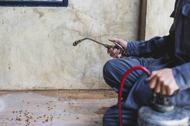 Best Pest Control Cost  in North Tonawanda, NY